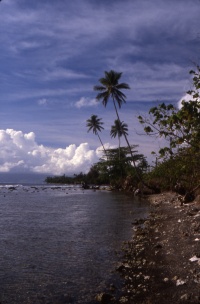 FRENCH POLYNESIA Banner