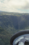 Forested Valley Waterfalls